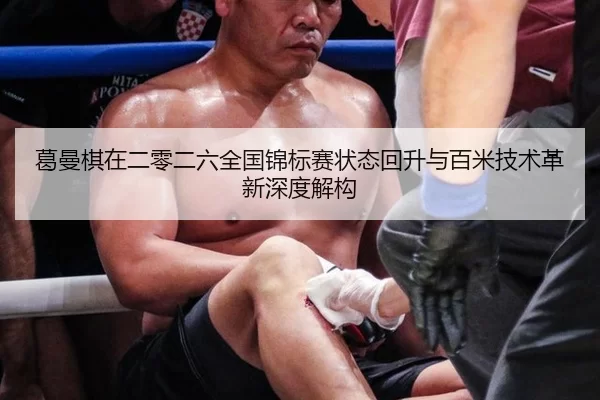 ge-man-qi-zai-er-ling-er-liu-quan-guo-jin-biao-sai-zhuang-tai-hui-sheng-yu-bai-mi-ji-shu-ge-xin-shen-du-jie-gou-2-389.jpg